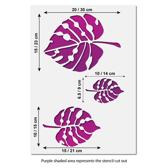 monstera adansonii mini Monstera Adansonii (small)- 4