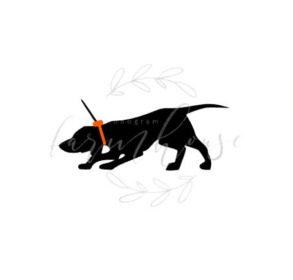 Hunting dog top tracking collars