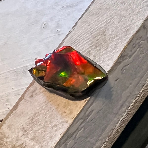 Stunning Ammolite Specimen