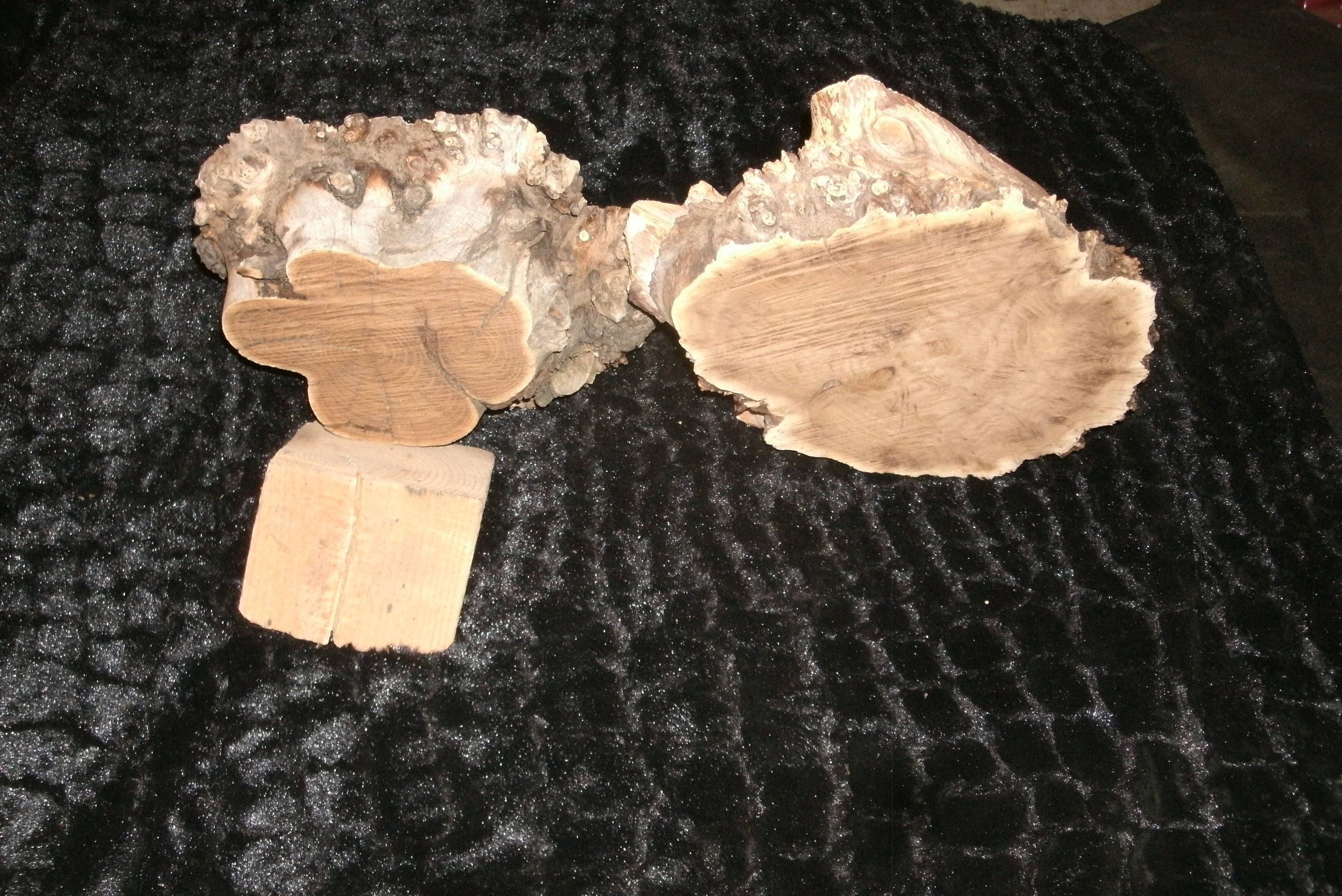 MEDIUM Variety Pack Burl SCRAPS & Wood Scraps...great Resin Etsy