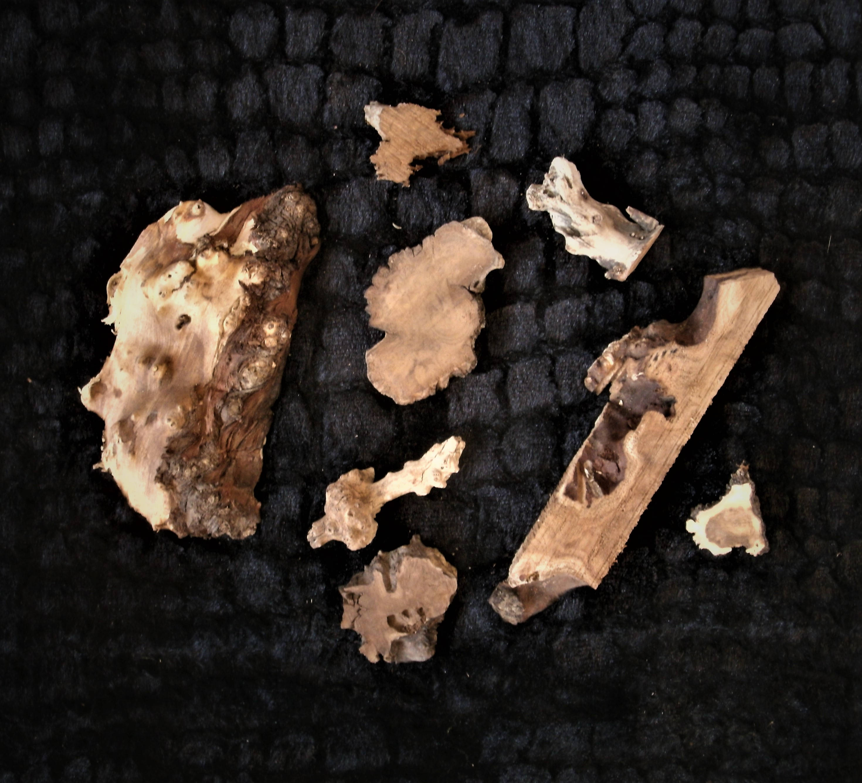 MEDIUM Variety Pack Burl SCRAPS & Wood Scraps...great Resin Etsy