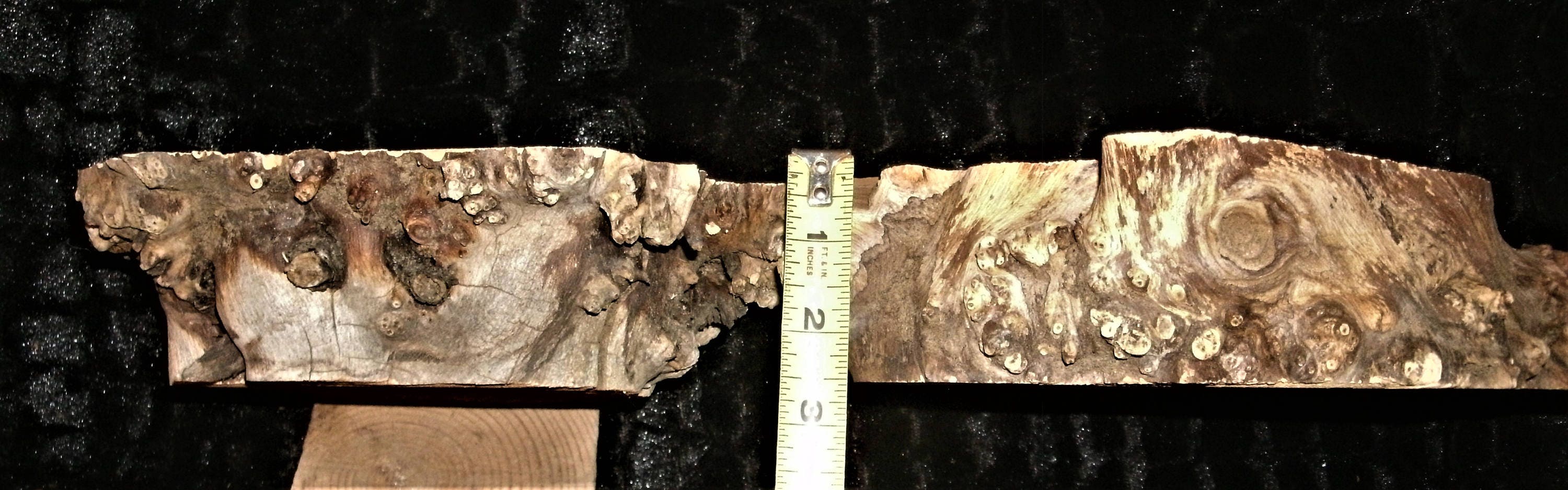 MEDIUM VARIETY PACKS Burl Scraps & Wood Scraps...great Resin Etsy