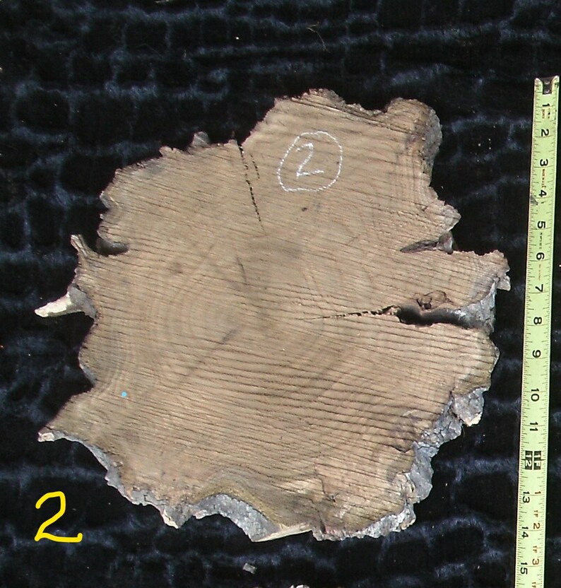 2--BURL SLICE;