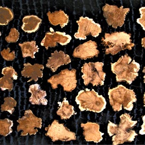 May include: An overhead shot displays numerous irregularly shaped, wooden slices with light brown centers and darker brown edges. The slices are arranged on a textured, dark blue surface, creating a natural, rustic aesthetic.