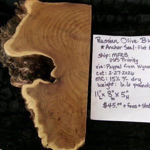 BURL CORNER live edge CHUNK