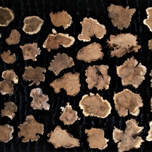 SMALL VARIETY PACKS Burl slices/other wood