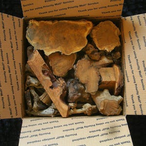 MEDIUM variety pack BURLY pieces & wood scraps: DIY resin art pieces for gifting!!