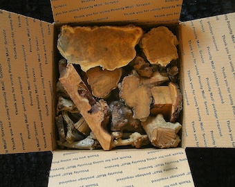 MEDIUM variety pack BURLY pieces & wood scraps: DIY resin art pieces for gifting!!