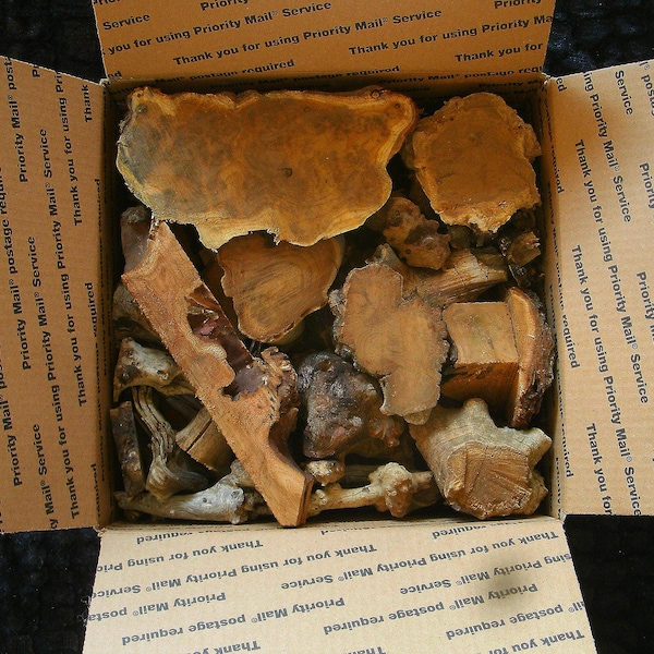 MEDIUM variety pack BURLY pieces & wood scraps: DIY resin art pieces for gifting!!