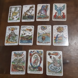 May include: A set of 12 tarot cards featuring colorful illustrations of dinosaurs and related themes. The cards are numbered from I to XII and include titles such as "Le Tyran," "La Spinosaurus," and "L'Extinction."