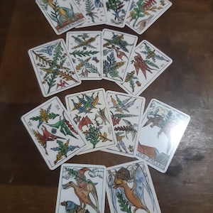 May include: A spread of tarot cards featuring colorful illustrations of winged creatures and foliage. The cards are arranged in a circle on a wooden surface. The cards include the following text: VII, VIII, IX, X, BOY DE FONOL, VIN, CHEVALIER D-FOVGORES, REYM, FOVGERES, ET-D FOVGERIS.