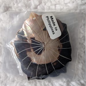 MOPSh2 Large Shell (3)Pendants