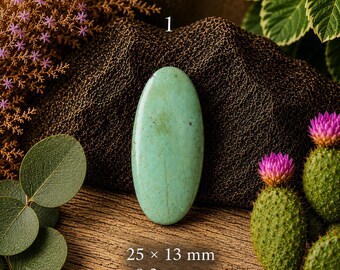 Antique turquoise cabochons