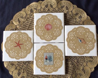 Seashell elegant coasters