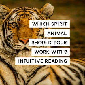 Which Spirit Animal Should I Work With? Intuitive Reading
