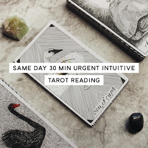 Same Day 30 Minute Urgent Intuitive Tarot Reading