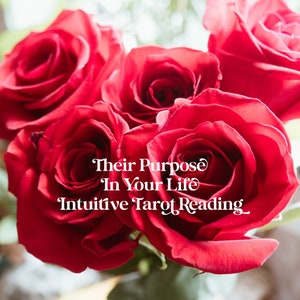 Their Purpose Intuitive Tarot Reading