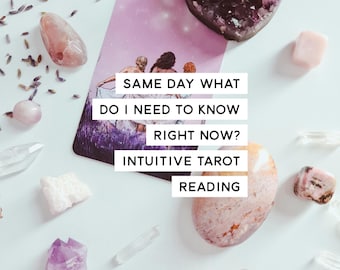 Same Day What Do I Need to Know Right Now? Intuitive Tarot Reading