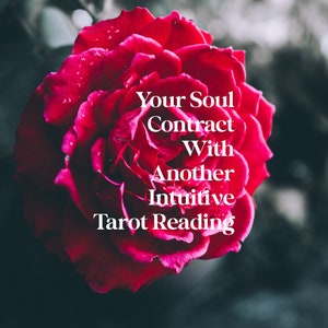Deine Seele vertrage mit ihnen intuitive Tarotlesung