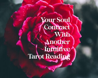 Your Soul Contract With Them Intuitive Tarot Reading