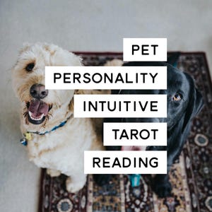 Pet Personality Intuitive Tarot Reading