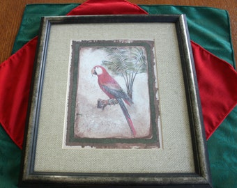 Vintage Framed Red Parrot Art Print Professionally Framed and Matted Picture Artwork Home Decor Wall Art Picture