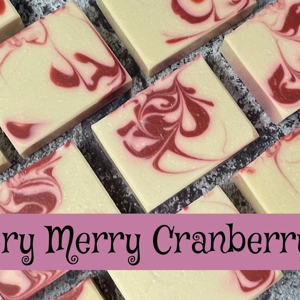 Cranberry & Plum Bar Soap •  Very Merry Cranberry Soap • Organic Soap Bar • Vegan • Handmade Soap