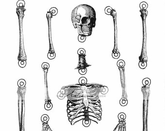 Skeleton Cut Out Halloween Art: Human Anatomy (Digital Download)