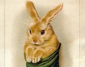 Artículos de esta tienda