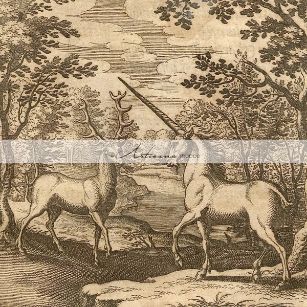 Digital Download Printable Art - Unicorn & Reindeer Antique Art Image - Altered Art Paper Crafts Scrapbooking - Vintage Antique Book Art