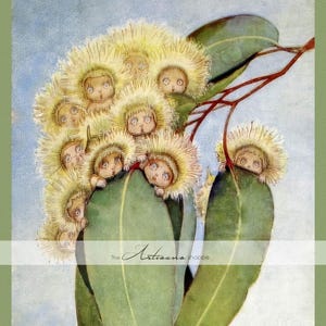 May Gibbs Gum Blossom Babies Vintage Art Print (Digital Download)