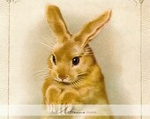 Artículos de esta tienda