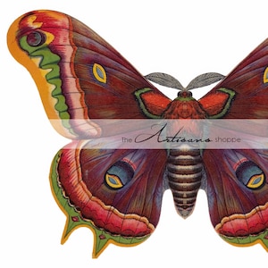 May include: A detailed illustration of a moth with outstretched wings. The wings display a rich palette of colors, including shades of red, brown, green, yellow, and blue. The text "The Artisans shoppe" is visible across the image.