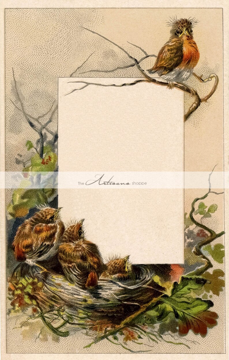 Printable Instant Download Robin Robins Birds Nest Babies - Etsy