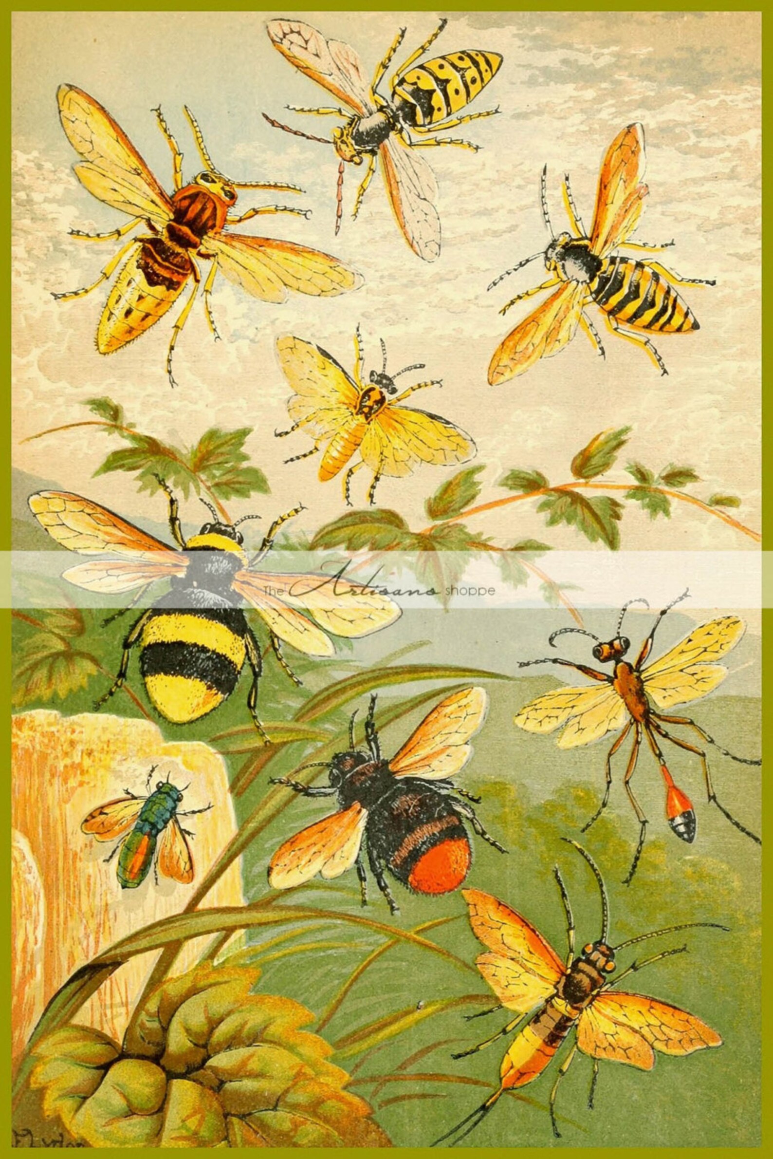 Пчёлы убийцы. Рабочая пчела. Пчела живопись. Пчелы эстетика. Насекомые в живописи.