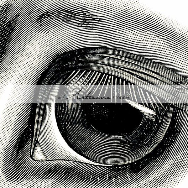 Equine Eye - Etsy