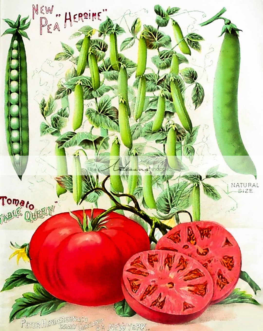 Printable Art Download Peas and Tomatoes Garden Vegetables Etsy
