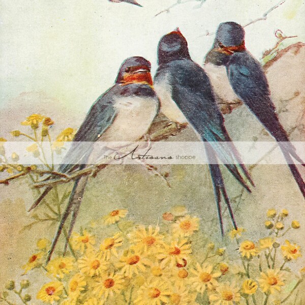 Instant Art Printable Download - Swallows on Branch Yellow Flowers - Paper Crafts Scrapbook Altered Art - Antique Woodland Art Birds Floral