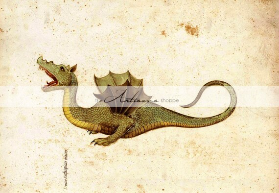 Instant Art Printable Download Medieval Dragon Mythology - Etsy