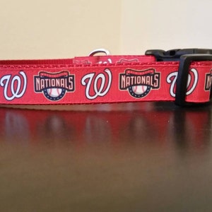 1&quot; Washington Nationals Collar