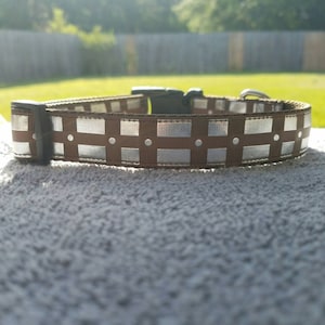 1&quot; Chewbacca belt Collar