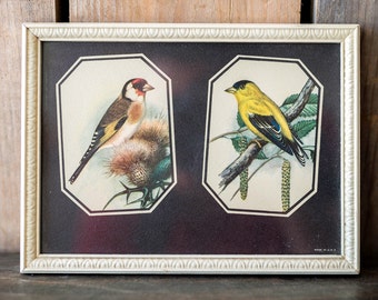 Antique Vintage Bird Print in Frame - Original Framed Birds Art Print - Finch Birds Woodland Nature Art Wall Decor - Wooden Framed Bird Art