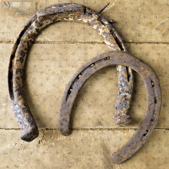 Vintage Horseshoe Horse Shoe Large and Small Rustic Heavy Etsy