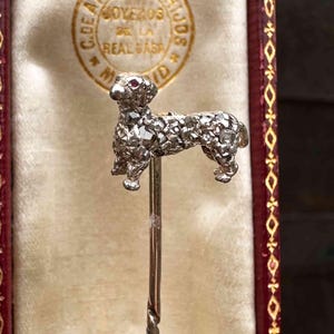 Victoriaans zilvergoud, roosgeslepen diamant en robijnrode hondenstokspeld in antieke doos