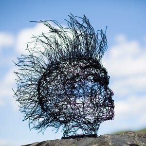 Punk Head Decor, Wire Head, Big Head Decor, Home Living Decor ...