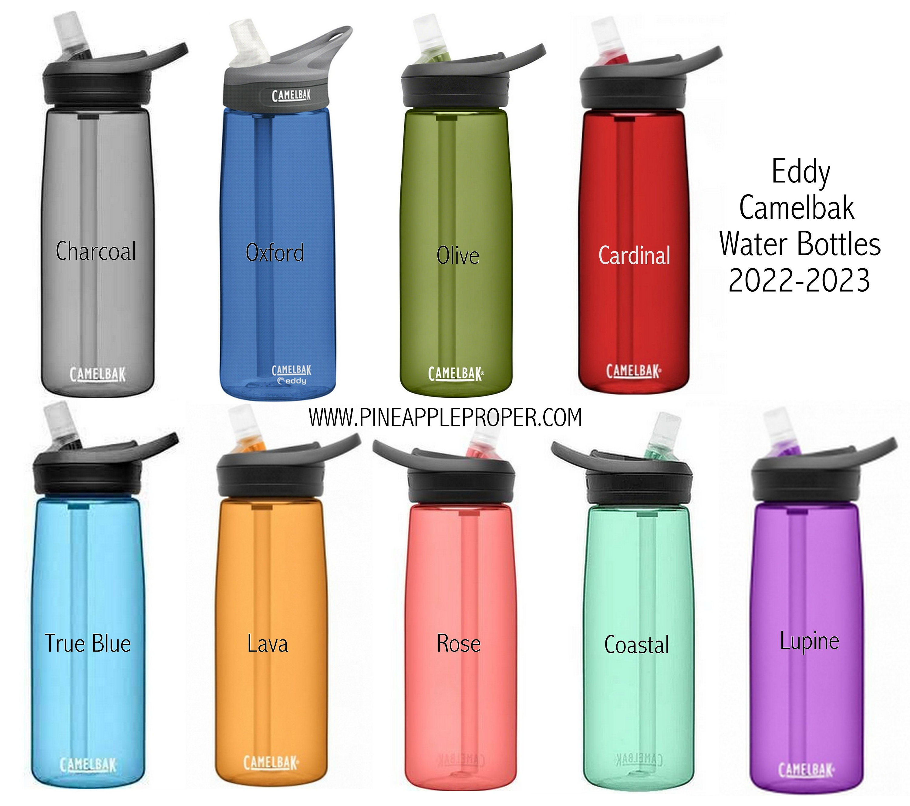 Camelbak drinks bottle 2025