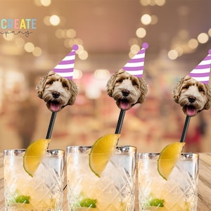 Custom drink stirrers with face | birthday party decoration pets retirement wedding bachelorette personalized photo swizzle sticks 30th 40th