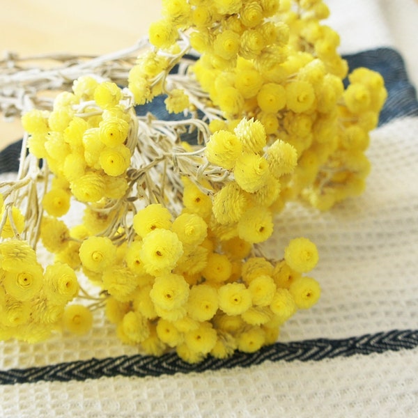 Natural dried mini immortal bouquet, natural dried yellow immortal flower , flower arrangements