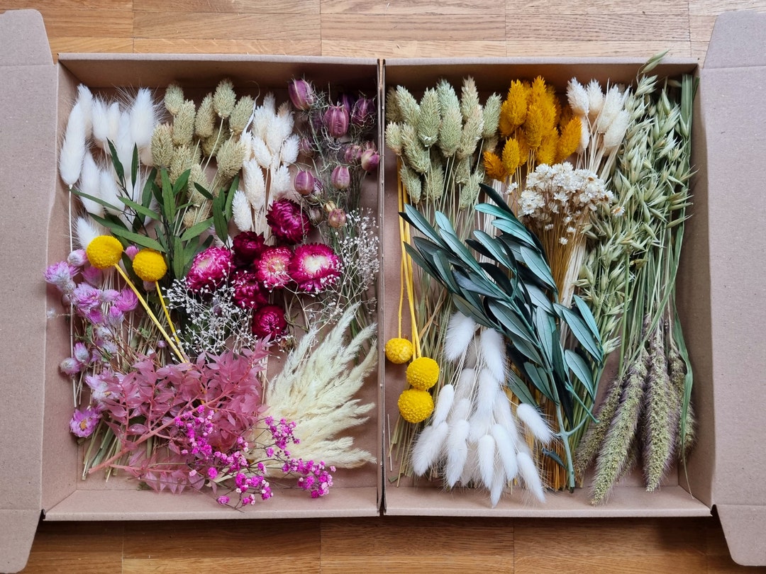Flower Kit Gift Box Dry Flowers for Craft Projects Party Favors Dry Colorful Flowers for Vase