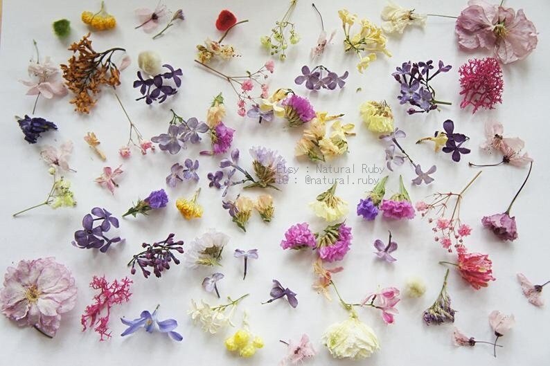 130 Dried mini flower for resin jewelry flower for glass Etsy